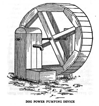 diagram of dog chore wheel