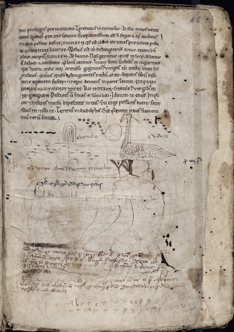 medieval manuscript page defaced with doodles of bird and alphabets