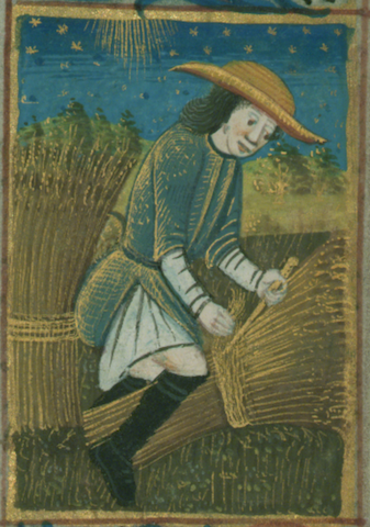 illumination of peasant working in the sun